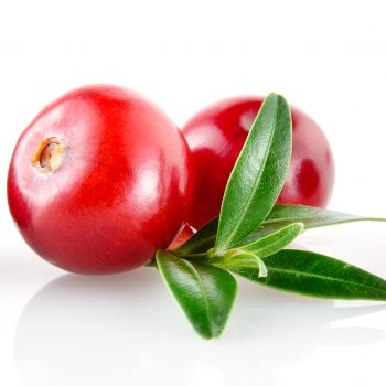 arándano rojo americano