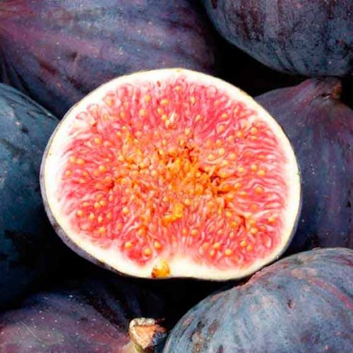 El higo: valor nutricional, propiedades y beneficios